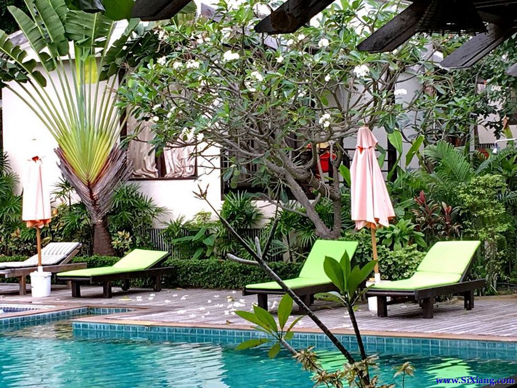 苏梅岛（Koh Samui）至春蓬（Chumphon）