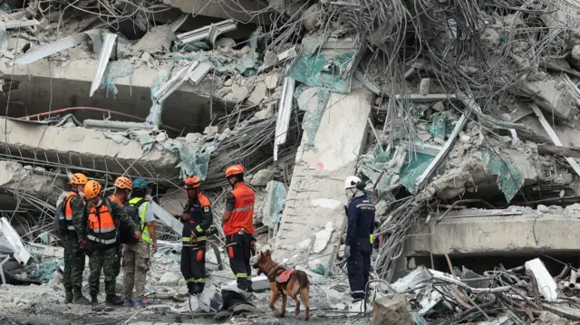 救援人员在泰国曼谷一栋因强震而倒塌的建筑物现场与一只搜救狗一起工作